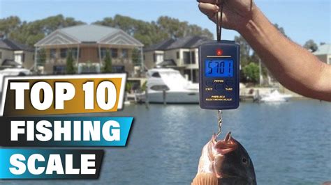 Best Fishing Scales In 2024 - Top 10 Fishing Scale Review - YouTube