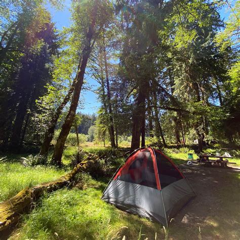 Hoh Rainforest Campground | The Dyrt