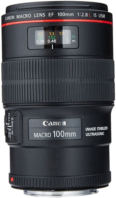 Best Macro Lens for Canon: The Ultimate Guide (2020)