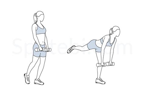 Single Leg Deadlift | Illustrated Exercise Guide