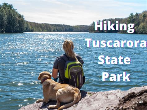 Hiking Tuscarora State Park: A Mountain Lake and Beautiful Streams ...