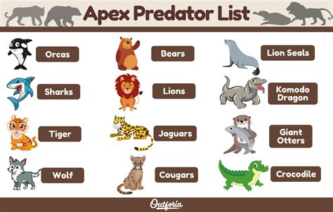 Apex Predator List: The Top 12 Predators At The Top of the Food Chain