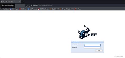 xss-工具-Beef-Xss安装以及使用_xss攻击工具-CSDN博客