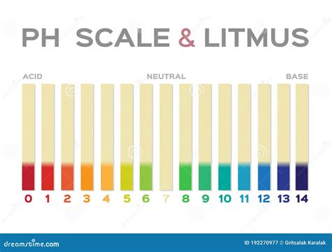 Ph Scale Litmus Paper Color Chart Vector Illustration Cartoondealer ...