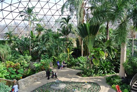 Botanical Garden Reopens Indoor Spaces – dsm magazine