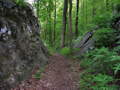 Monte Sano State Park & Land Trust Mountain Bike Trail in Huntsville ...