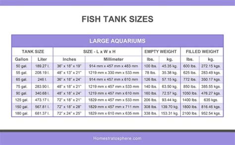 Fish Tank Sizes (Charts & Tables) - Home Stratosphere