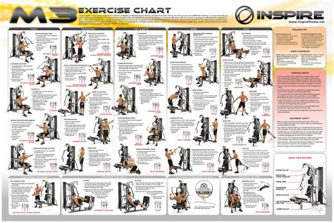 pulley weight machine exercises - Criselda Tobias