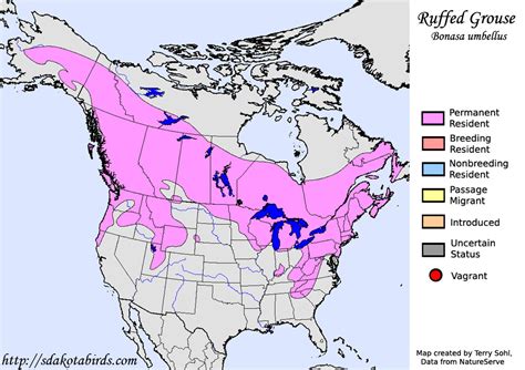 Ruffed Grouse - Species Range Map