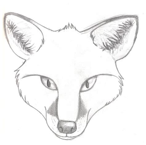 Realistic Fox Head Drawing Images & Pictures | Fox coloring page, Fox ...