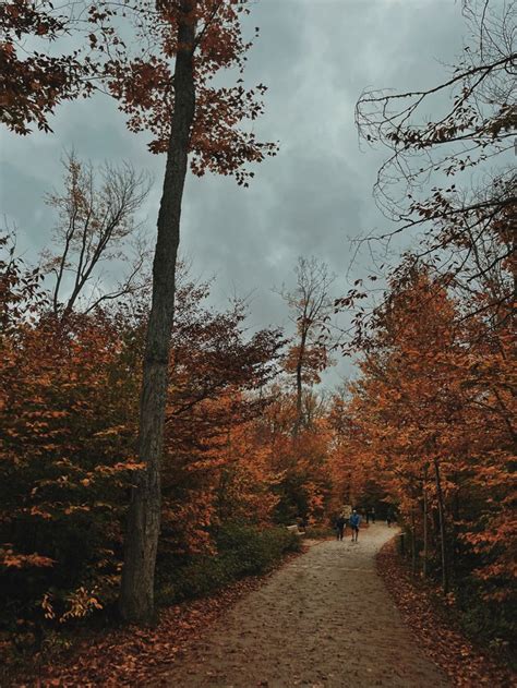 fall pics aesthetic fall hiking dark fall aesthetic outdoors woods dark ...