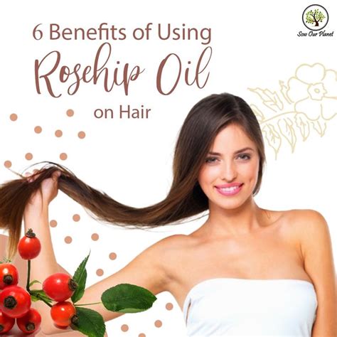 6 Benefits of Using Rosehip Oil on Hair | Rosehip oil for hair, Hair ...