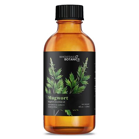 Mugwort Essential Oil — Wholesale Botanics