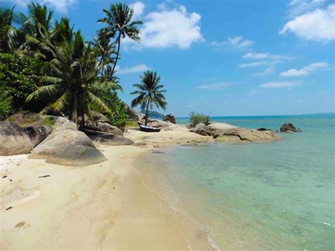 beach, paradise, coconut trees, private beach, Koh Phangan, thailand