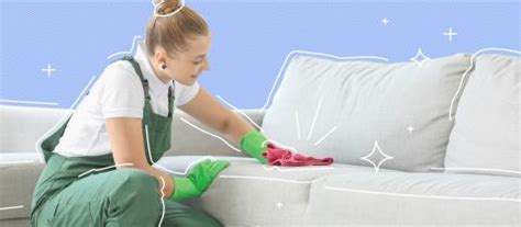 How to Clean a Couch: Ultimate Guide | 2024 | Bungalow