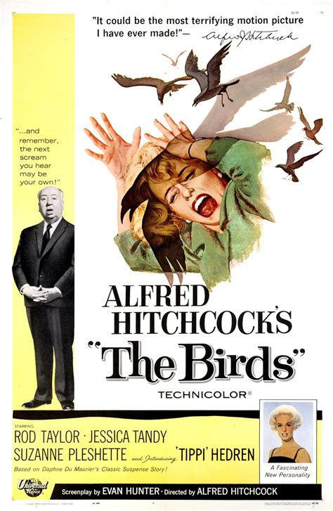 The Birds (1963) - IMDb