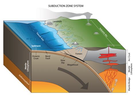 Subduction zone diagram [IMAGE] | EurekAlert! Science News Releases