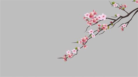 cherry trees cherry blossom #minimalism #dots Pink flower #1080P # ...