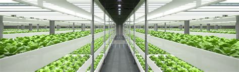 Indoor Farming - National Design Build Services