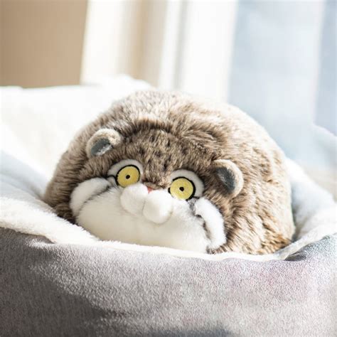 Keaiart Chubby Pallas's Cat Plush Toy, Fat Manul Stuffed Animals Toys ...