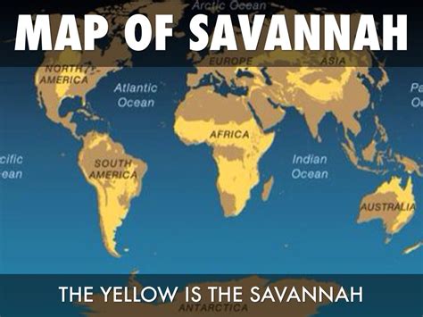 Where Is Savanna Map