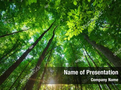 Details into the forest PowerPoint Template - Details into the forest ...