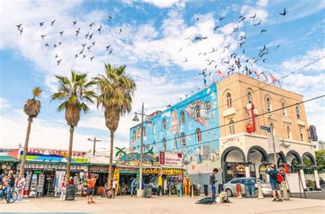 Things to do in Venice Beach (California): attractions and places to visit