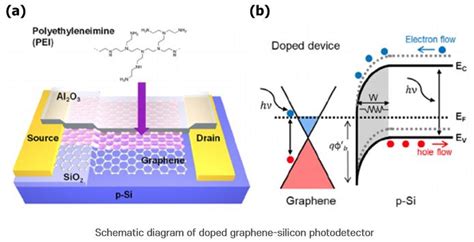 Enhancing the Photodetector with Graphene - The Graphene Council