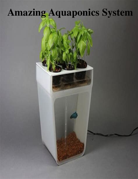 Amazing Aquaponics System eBook by V.T. - EPUB | Rakuten Kobo United States