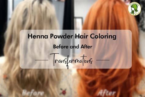 How Henna Powder Hair Color Before and After Transforms Your Hair?