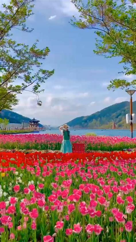 Peaceful place ️🥰🌷 [Video] | Beautiful scenery nature, Beautiful nature ...