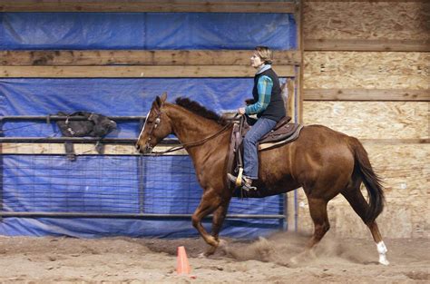 Gallery: American Quarter Horse Association Award | Southern Idaho ...