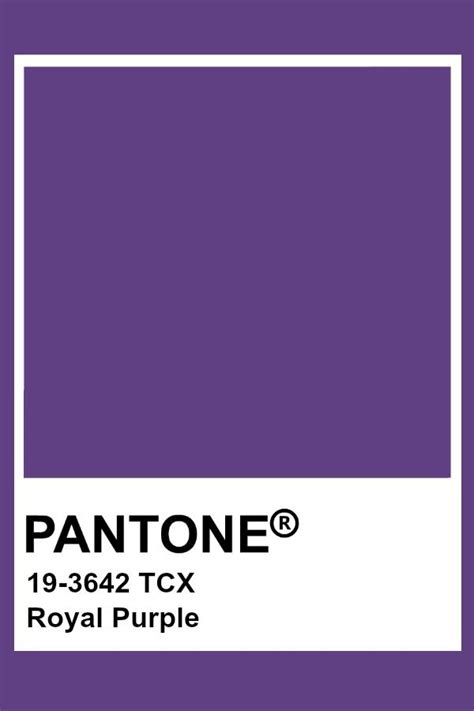 Pantone Royal Purple Color Palette