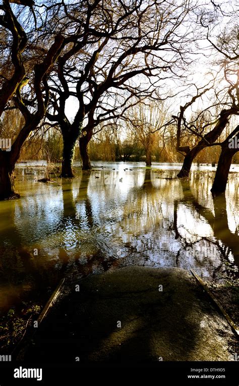 The Floods, Great River Ouse, Bedford Stock Photo - Alamy