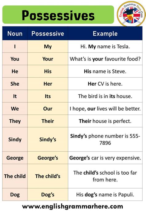 Possessive Pronoun Definition and Examples - English Grammar Here