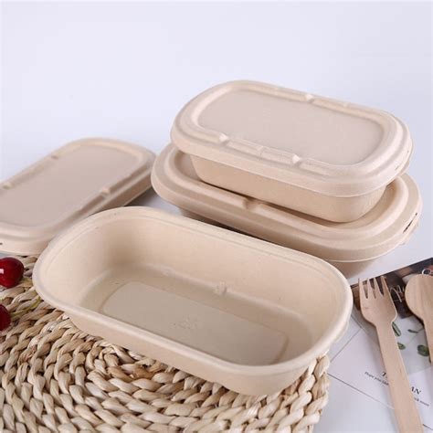 [25PCS] Biodegradable Sugarcane Bagasse Pulp Eco-Friendly Food ...