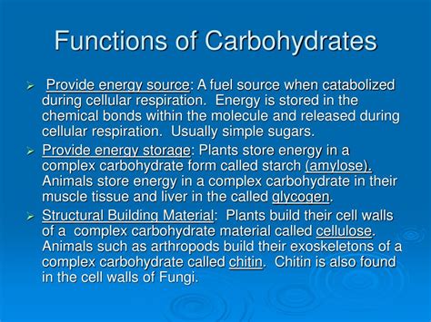 Carbohydrates Function