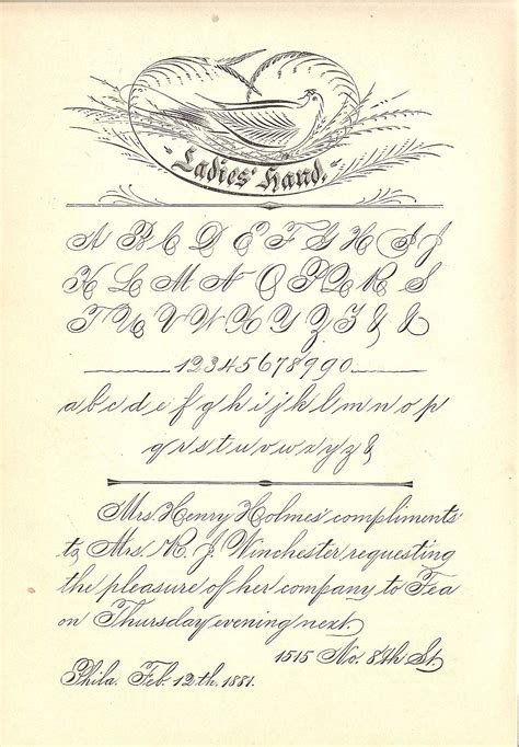 Copperplate or Spencerian Calligraphy? — LAURA LAVENDER CALLIGRAPHY ...