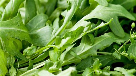 Choosing Arugula Varieties for the Mediterranean Garden