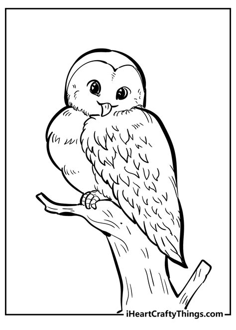 Bird Coloring Pages Printable