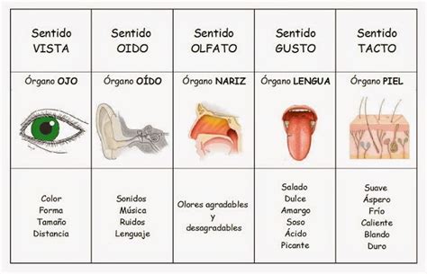 Un proyecto para aprender con todos los sentidos – CEE PETRA LORENZO