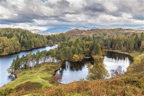 Tarn Hows walk - Coniston walks - Lake District walks