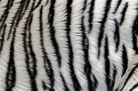 Premium AI Image | Tiger pattern fur texture