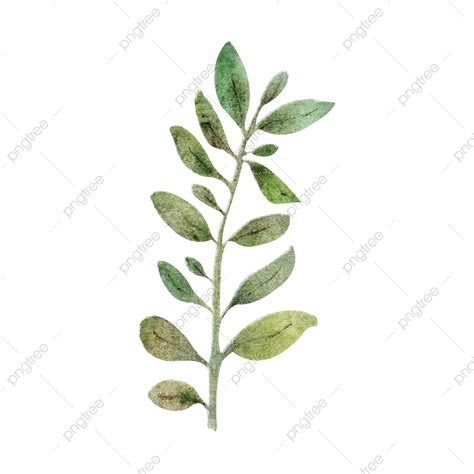 Green Leaves Vector Hd PNG Images, Green Leaves, Hojas Verdes, Natural ...