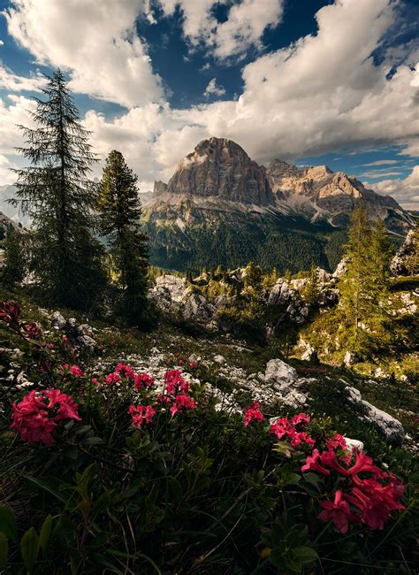 Ultimate Photography Guide to the Dolomites in Italy