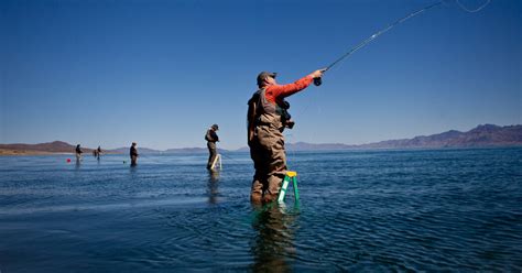 To Fish These Big Trout, Bring a Ladder - The New York Times