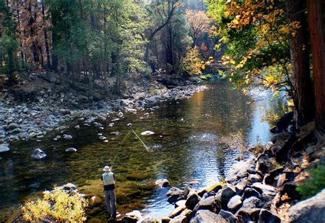 fishing in Yosemite National Park | National parks, Yosemite national ...