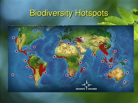 PPT - Biodiversity PowerPoint Presentation, free download - ID:1395884