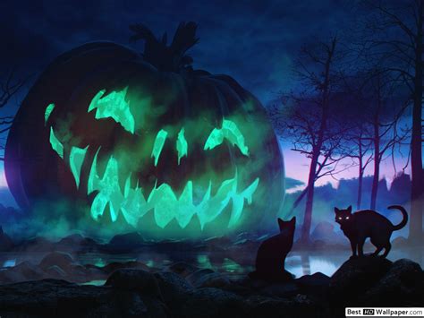 Jack O Lantern Wallpaper Hd - WoodsLima