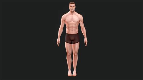 low poly male anatomy model - Buy Royalty Free 3D model by graft ...